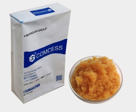 C008FG Food Grade ion exchange resin